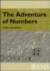 Image for The adventure of numbers