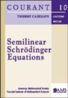 Image for Semilinear Schrodinger Equations