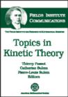 Image for Topics in Kinetic Theory