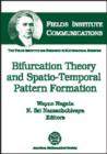 Image for Bifurcation Theory and Spatio-temporal Pattern Formation