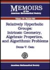 Image for Relatively Hyperbolic Groups