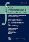 Image for Perspectives in Riemannian Geometry