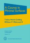 Image for A Course in Minimal Surfaces