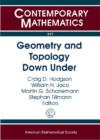 Image for Geometry and Topology Down Under