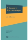Image for A course in abstract analysis
