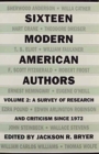 Image for Sixteen Modern American Authors