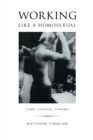 Image for Working like a homosexual  : camp, capital, cinema