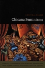 Image for Chicana feminisms  : a critical reader