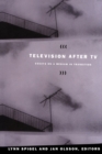 Image for Television after TV  : essays on a medium in transition