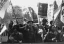 Image for In search of the Black Panther Party  : new perspectives on a revolutionary movement