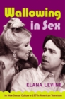 Image for Wallowing in sex  : the new sexual culture of 1970s American television