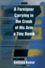 Image for A Foreigner Carrying in the Crook of His Arm a Tiny Bomb