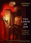 Image for The Labor of Job