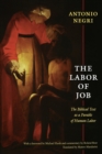 Image for The labor of Job  : the biblical text as a parable of human labor