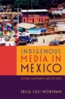 Image for Indigenous Media in Mexico