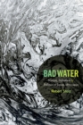 Image for Bad water  : nature, pollution, and politics in Japan, 1870-1950