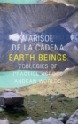 Image for Earth beings  : ecologies of practice across Andean worlds
