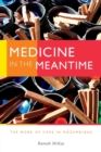 Image for Medicine in the meantime  : the work of care in Mozambique