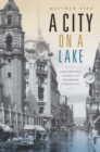 Image for A city on a lake: urban political ecology and the growth of Mexico City