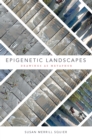 Image for Epigenetic landscapes: drawing as metaphor