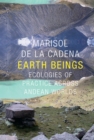 Image for Earth beings: ecologies of practice across Andean worlds