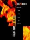 Image for Coming through the fire: surviving race and place in America