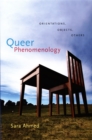 Image for Queer phenomenology: orientations, objects, others