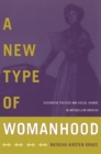Image for A new type of womanhood: discursive politics and social change in antebellum America