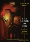 Image for The labor of Job: the biblical text as a parable of human labor