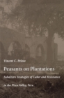 Image for Peasants on Plantations: Subaltern Strategies of Labor and Resistance in the Pisco Valley, Peru