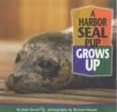 Image for A harbor seal grows up