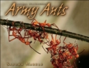 Image for Army Ants