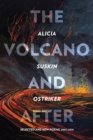 Image for The Volcano and After : Selected and New Poems 2002-2019