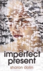 Image for Imperfect present  : poems