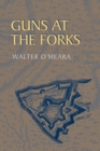 Image for Guns at the Forks