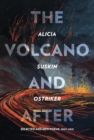 Image for Volcano and After: Selected and New Poems 2002-2019