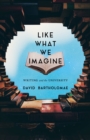 Image for Like What We Imagine: Writing and the University