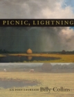 Image for Picnic, Lightning