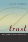 Image for Trust  : who or what might support us?