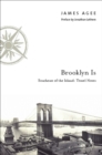 Image for Brooklyn is: Southeast of the island : travel notes