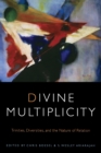 Image for Divine multiplicity  : trinities, diversities, and the nature of relation