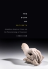 Image for The body of property: antebellum American fiction and the phenomenology of possession