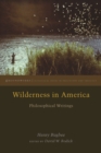 Image for Wilderness in America  : philosophical writings