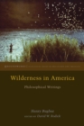 Image for Wilderness in America: philosophical writings