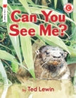 Image for Can You See Me?