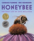 Image for Honeybee : The Busy Life of Apis Mellifera