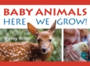 Image for Animals! : Here We Grow