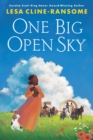 Image for One Big Open Sky
