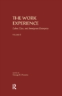 Image for The Work Experience : Labor, Class &amp; Immigrant Enterprise