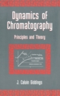 Image for Dynamics of Chromatography : Principles and Theory